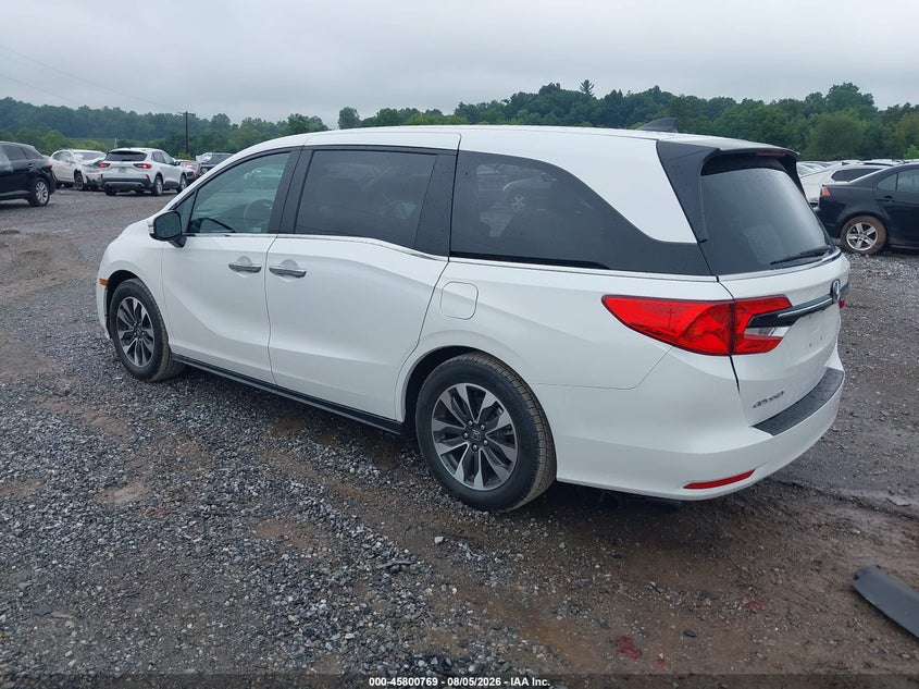 2024 Honda Odyssey VIN 5FNRL6H64RB045516 IAAI salvage auction — SIDE, Wait Title, sold $12,650 on 2026-09-02 (photo 3)