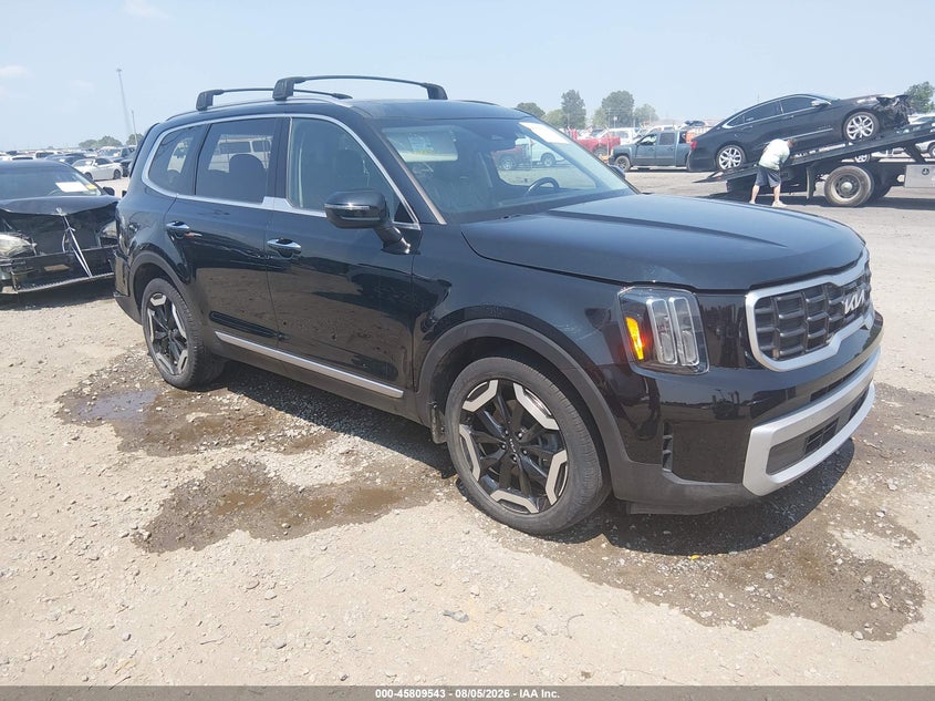 2024 Kia Telluride VIN 5XYP6DGC3RG442461 — IAAI salvage auction photo