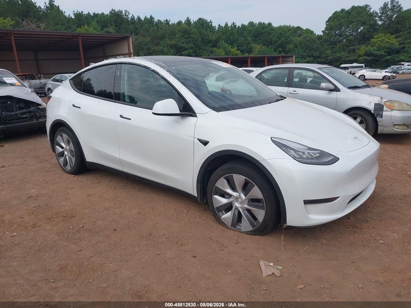 2023 Tesla Model y VIN 7SAYGDEE6PA146554 — IAAI salvage auction photo