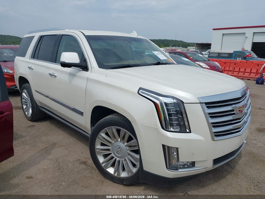 2015 Cadillac Escalade VIN 1GYS4PKJ3FR697979 — IAAI salvage auction photo