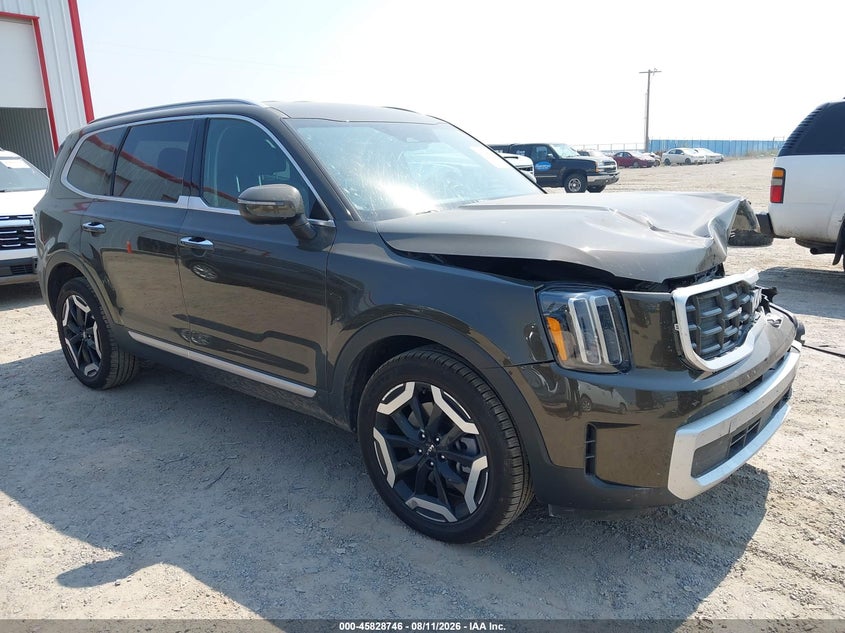 2024 Kia Telluride VIN 5XYP6DGC3RG523590 — IAAI salvage auction photo