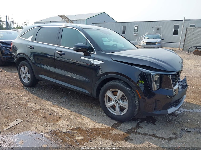 2024 Kia Sorento VIN 5XYRG4JC9RG300436 — IAAI salvage auction photo