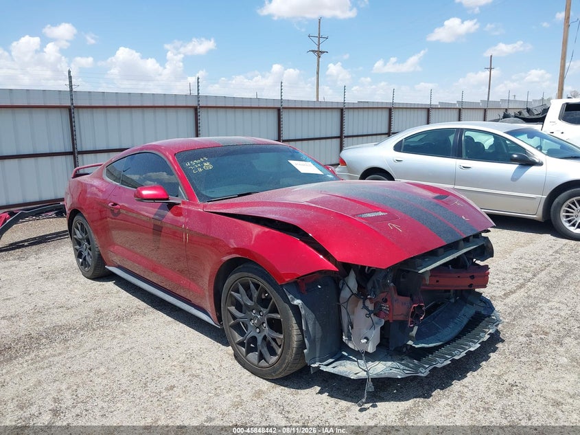 2019 Ford Mustang VIN 1FA6P8TH5K5189519 — IAAI salvage auction photo