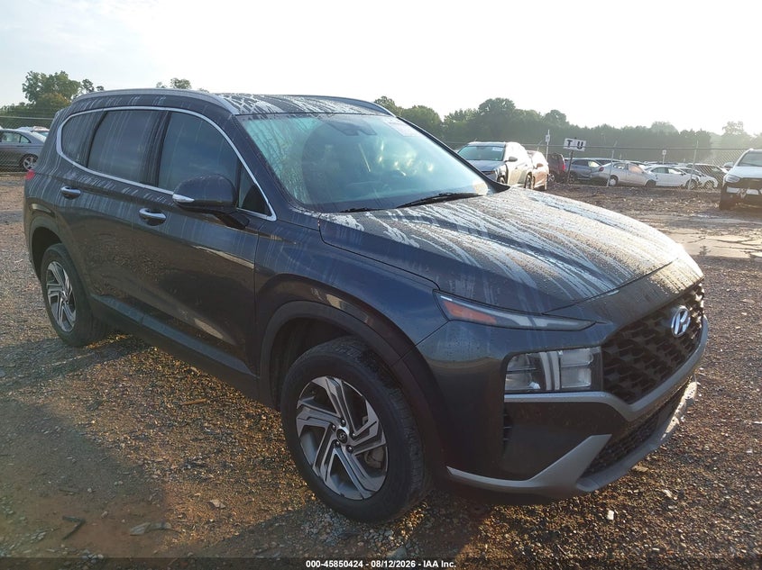 2023 Hyundai Santa fe VIN 5NMS2DAJ6PH518920 — IAAI salvage auction photo