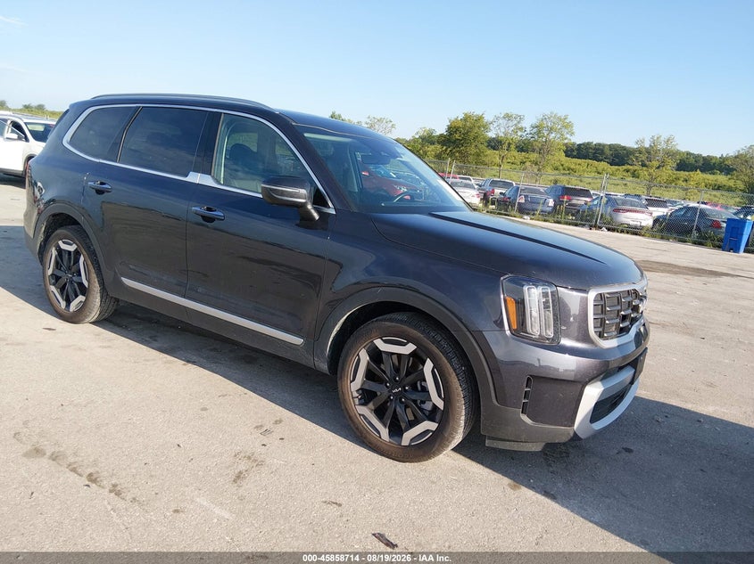 2025 Kia Telluride VIN 5XYP6DGC8SG718896 — IAAI salvage auction photo