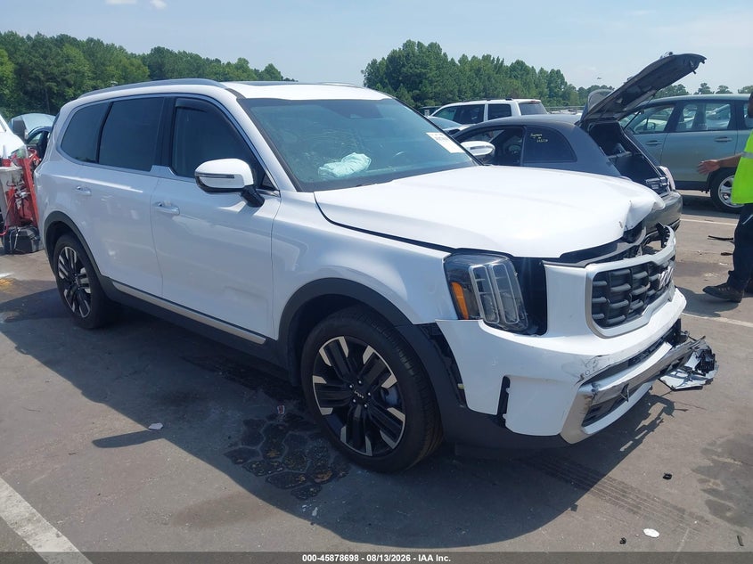 2024 Kia Telluride VIN 5XYP54GCXRG553446 — IAAI salvage auction photo