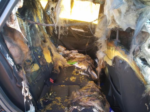 2018 Mazda Cx-5 VIN JM3KFABM0J1458752 COPART salvage auction — BURN, Id - Salvage Certificate Of Title, sold $300 on 2026-07-31 (photo 6)