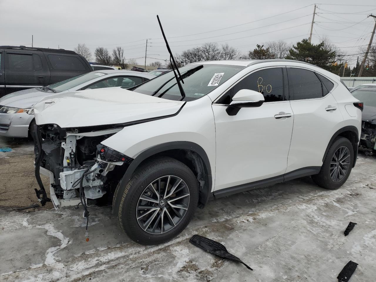 2024 LEXUS NX 250 BAS VIN 2T2ADCAZ6RC010487 — COPART salvage auction photo