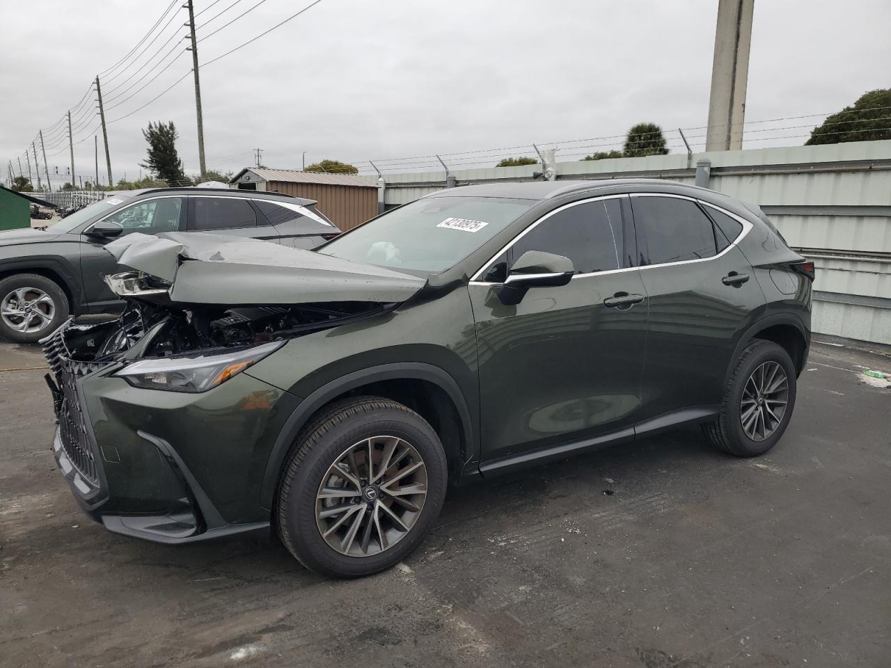 2025 LEXUS NX 250 BAS VIN 2T2ADCAZ8SC021948 — COPART salvage auction photo