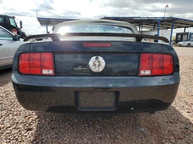 2006 Ford Mustang VIN 1ZVFT84N065125479 COPART salvage auction — MINOR DENT/SCRATCHES, Az - Cert Of Title-Restored Salvage, sold $375 on 2026-07-09 (photo 6)
