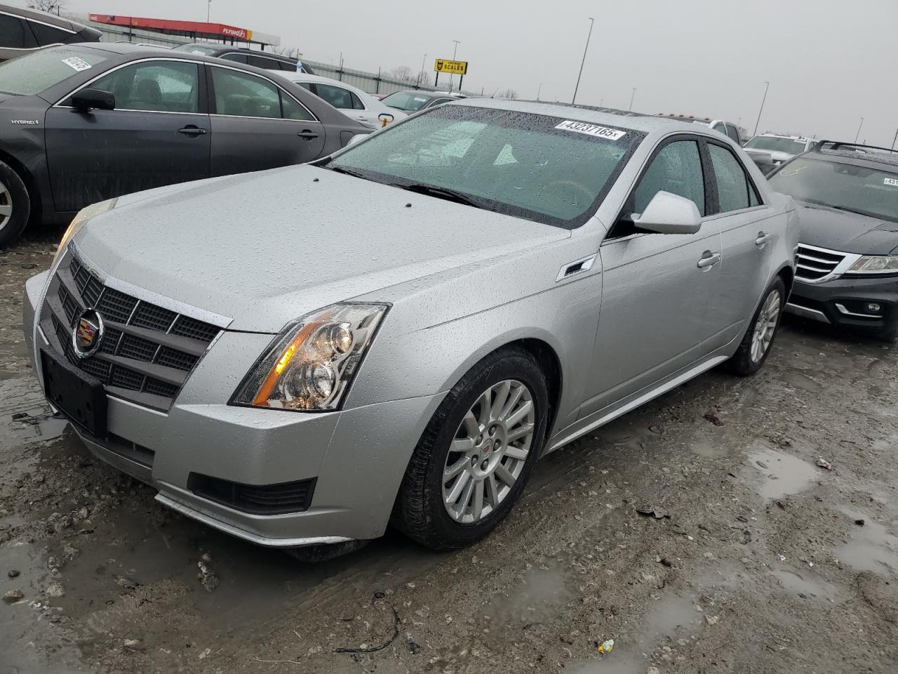2011 Cadillac CTS VIN 1G6DE5EY3B0144274 COPART salvage auction — Rear End, IL - SALVAGE CERTIFICATE, sold $1,800 on 2025-03-03 (photo 1)