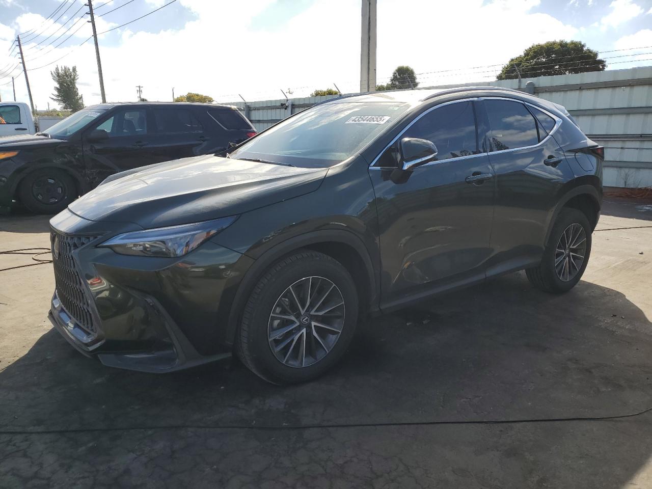 2025 LEXUS NX 250 PRE VIN 2T2GDCAZXSC019614 — COPART salvage auction photo