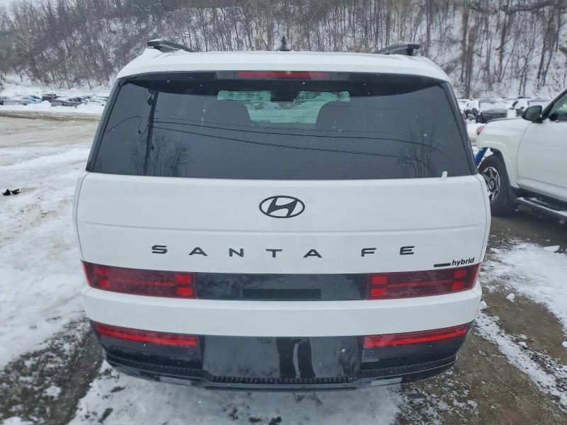 2025 Hyundai Santa fe VIN 5NMP5DG15SH023153 COPART salvage auction — FRONT END, Mi - Cert Of Title-Salvage Vehicle, sold $16,700 on 2026-07-28 (photo 6)