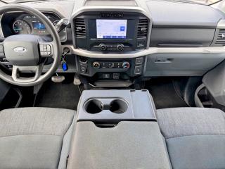 2023 Ford F-150 VIN 1FTEW1C86PKD23334 COPART salvage auction — Minor Dent/Scratches, FL - CERTIFICATE OF DESTRUCTION (P), sold $21,300 on 2026-05-06 (photo 8)