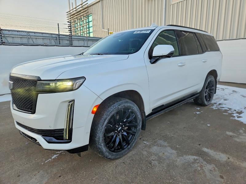 2022 Cadillac Escalade VIN 1GYS4GKT3NR191407 COPART salvage auction — Normal Wear, AB - BOS - ACTIVE, sold $74,000 on 2026-02-25 (photo 1)