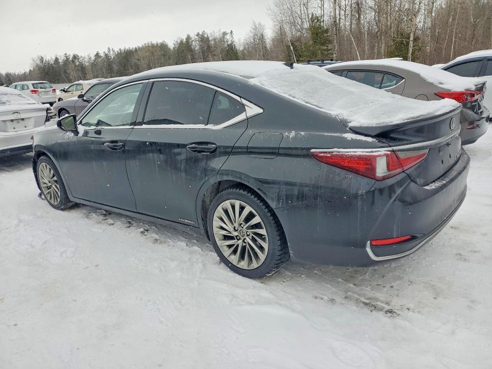 2019 Lexus ES VIN JTHB21B10K2011147 COPART salvage auction — FRONT END, Salvage Title, sold $6,100 on 2026-07-30 (photo 2)