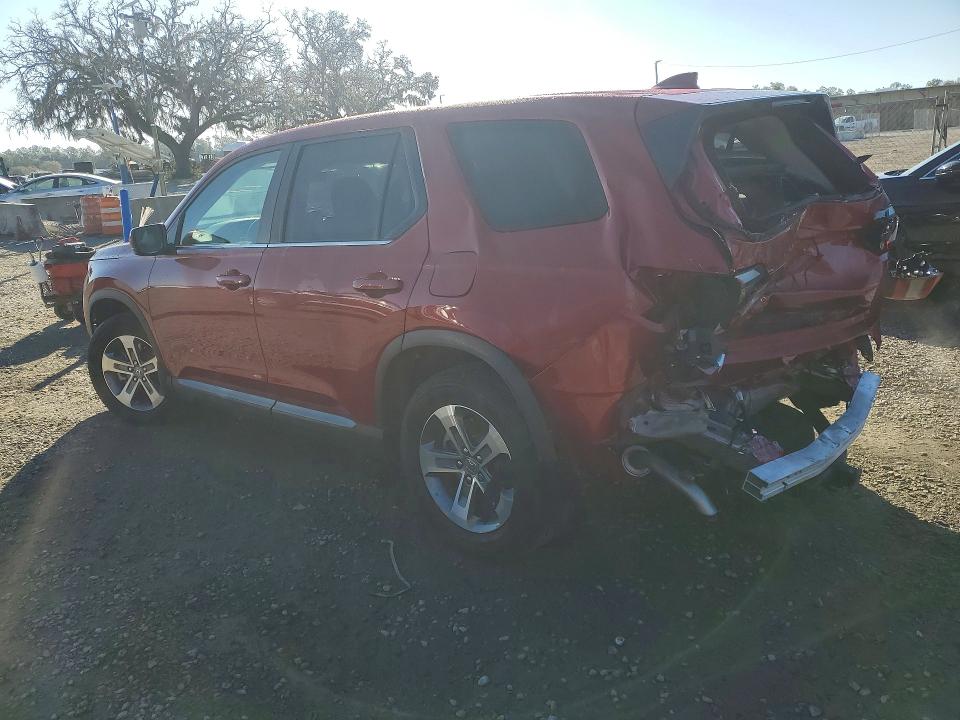 2025 Honda Pilot VIN 5FNYG2H46SB010702 COPART salvage auction — REAR END, Fl - Certificate Of Destruction, sold $11,600 on 2026-07-31 (photo 2)