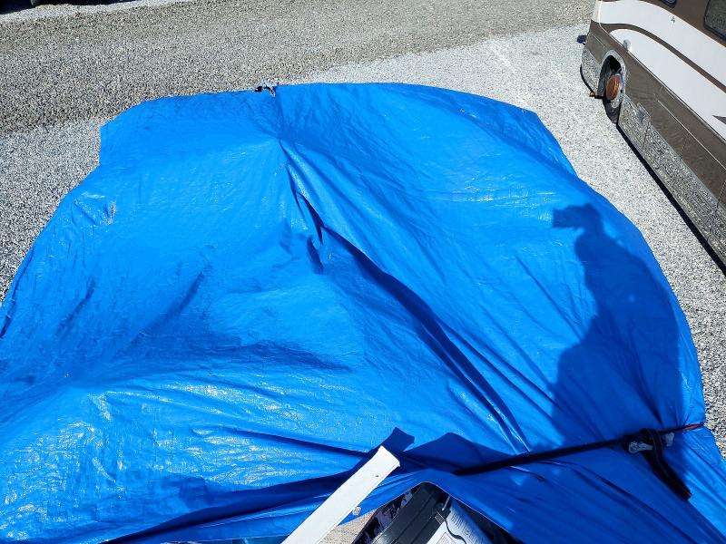2025 VIN 4RADU1427SG019854 COPART salvage auction — NORMAL WEAR, TN - CERTIFICATE OF TITLE (P), sold $8,250 on 2026-07-28 (photo 5)