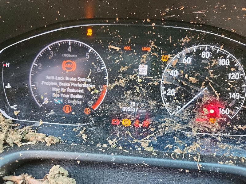 2019 Honda Accord VIN 1HGCV2F38KA033953 COPART salvage auction — ROLLOVER, La - Cert Of Title-Salvage, sold $2,550 on 2026-07-02 (photo 9)