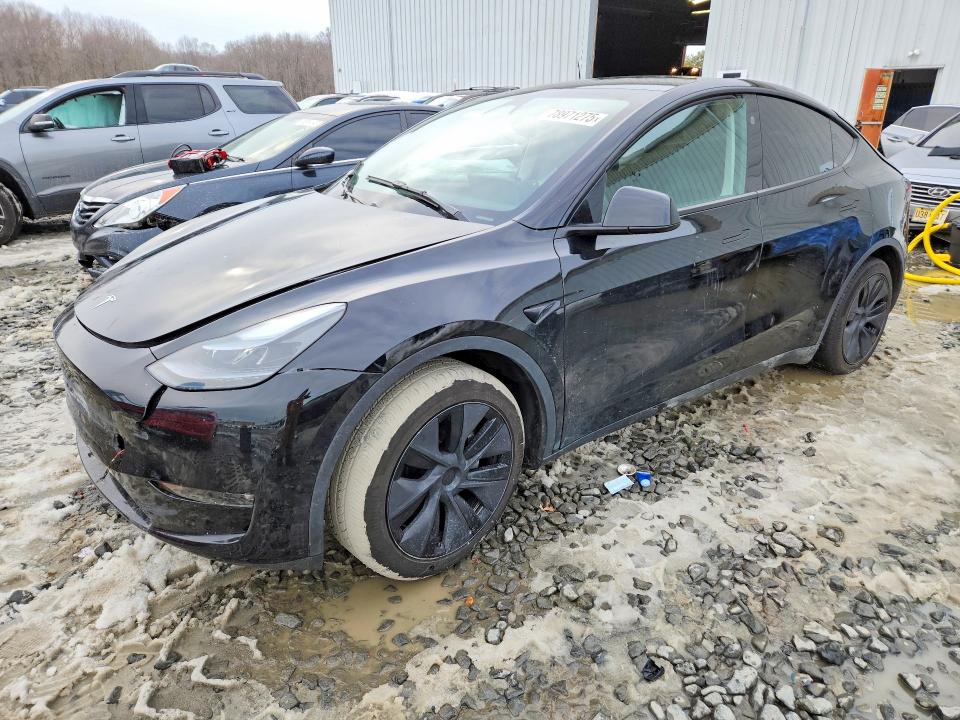 2025 Tesla Model y VIN 7SAYGDEE5SF287417 — COPART salvage auction photo