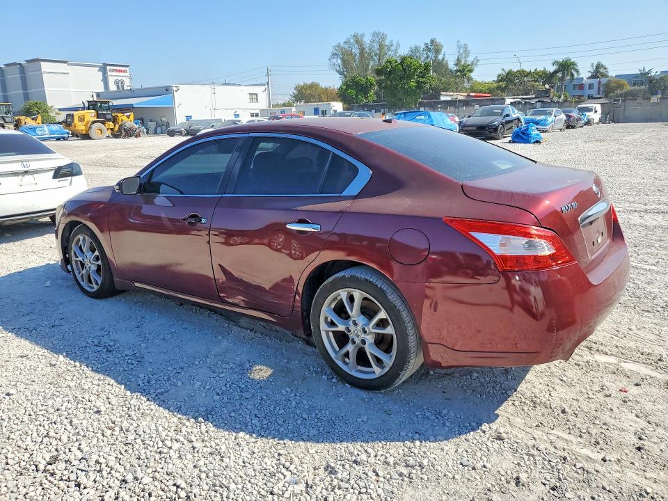 2010 Nissan Maxima VIN 1N4AA5AP6AC851557 COPART salvage auction — MECHANICAL, FL - CERTIFICATE OF TITLE, sold $275 on 2026-07-02 (photo 2)