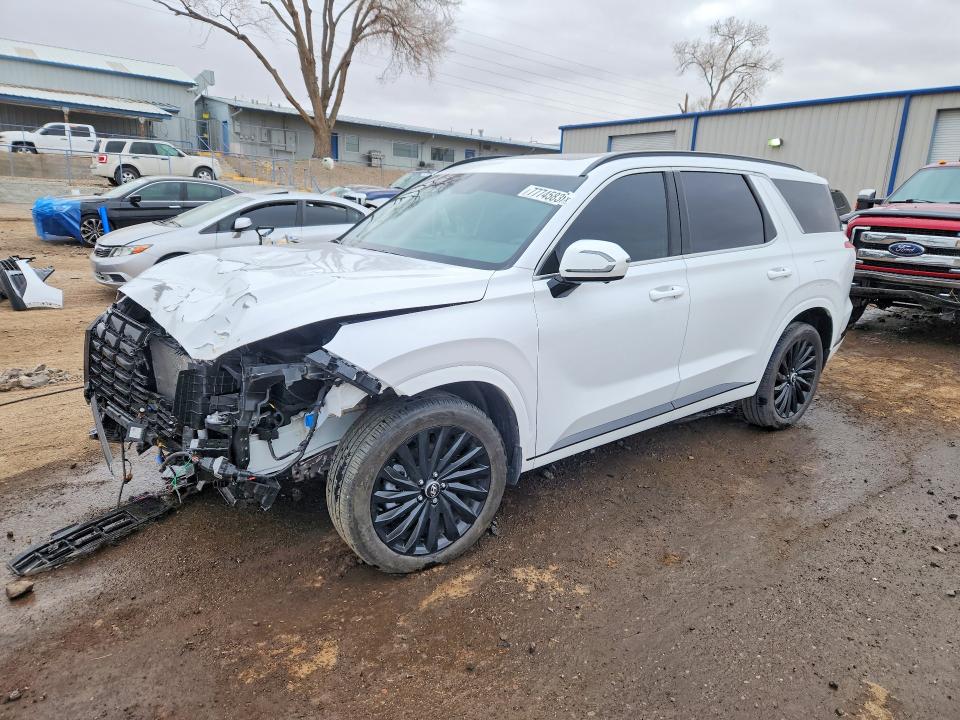 2025 Hyundai Palisade VIN KM8R7DGE6SU887767 — COPART salvage auction photo