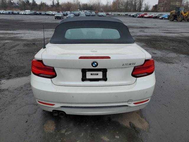 2018 BMW 2 series VIN WBA2K1C55JVD41169 COPART salvage auction — VANDALISM, CT - CERT OF TITLE-SALVAGE, sold $9,500 on 2026-07-31 (photo 6)