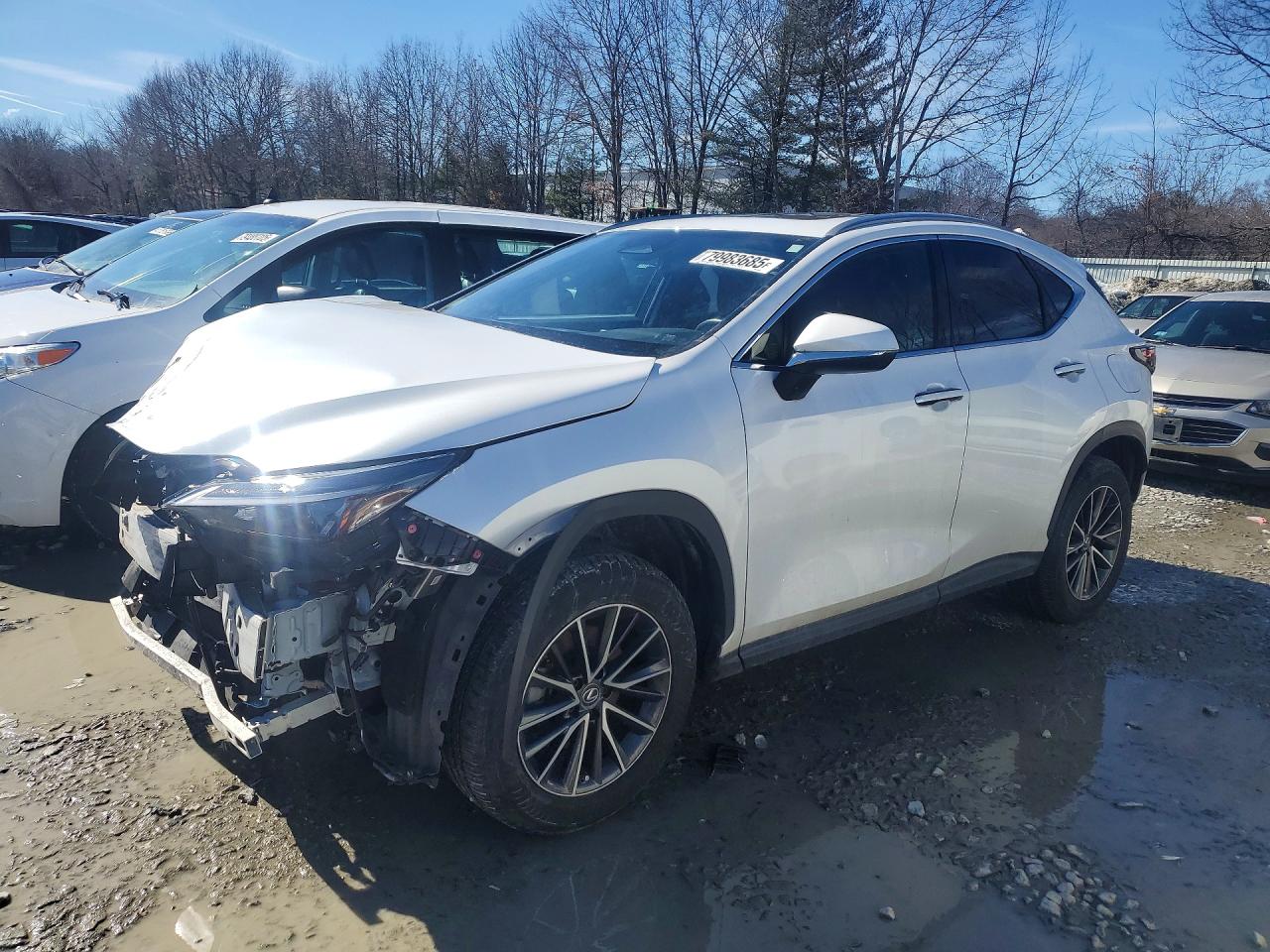 2022 Lexus NX 350 VIN JTJAGCEZ1N5000847 — COPART salvage auction photo