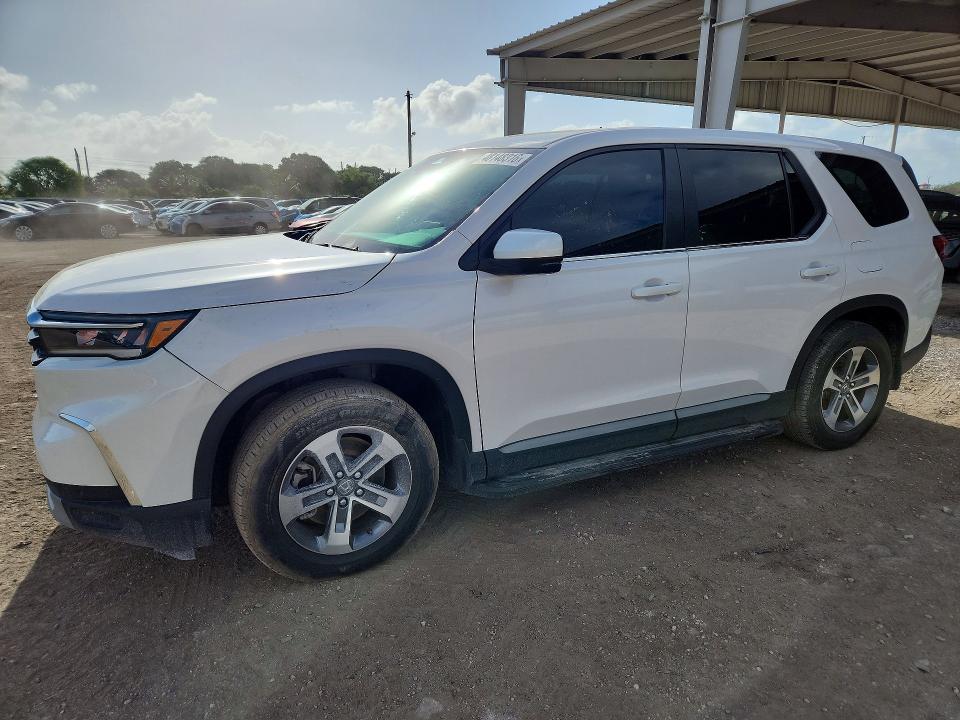 2025 Honda Pilot VIN 5FNYG2H43SB007935 COPART salvage auction — SIDE, FL, sold $12,200 on 2026-08-19 (photo 1)