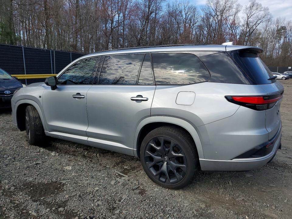 2025 Lexus Tx VIN 5TDABAB62SS013371 COPART salvage auction — SIDE, Salvage Title, sold $39,250 on 2026-08-28 (photo 2)