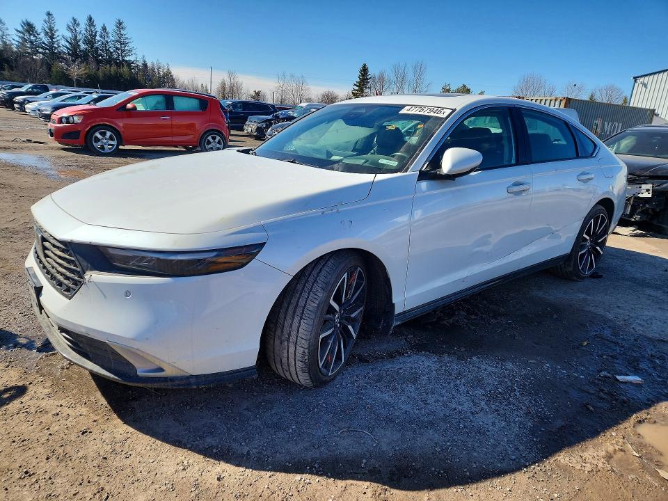 2024 Honda Accord VIN 1HGCY2F80RA801695 COPART salvage auction — SIDE, Salvage Title, sold $12,200 on 2026-07-28 (photo 1)