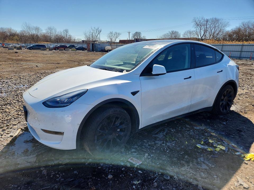 2021 Tesla VIN 5YJYGDEE9MF140064 COPART salvage auction — HAIL, Il - Salvage Certificate, sold $8,400 on 2026-07-08 (photo 1)