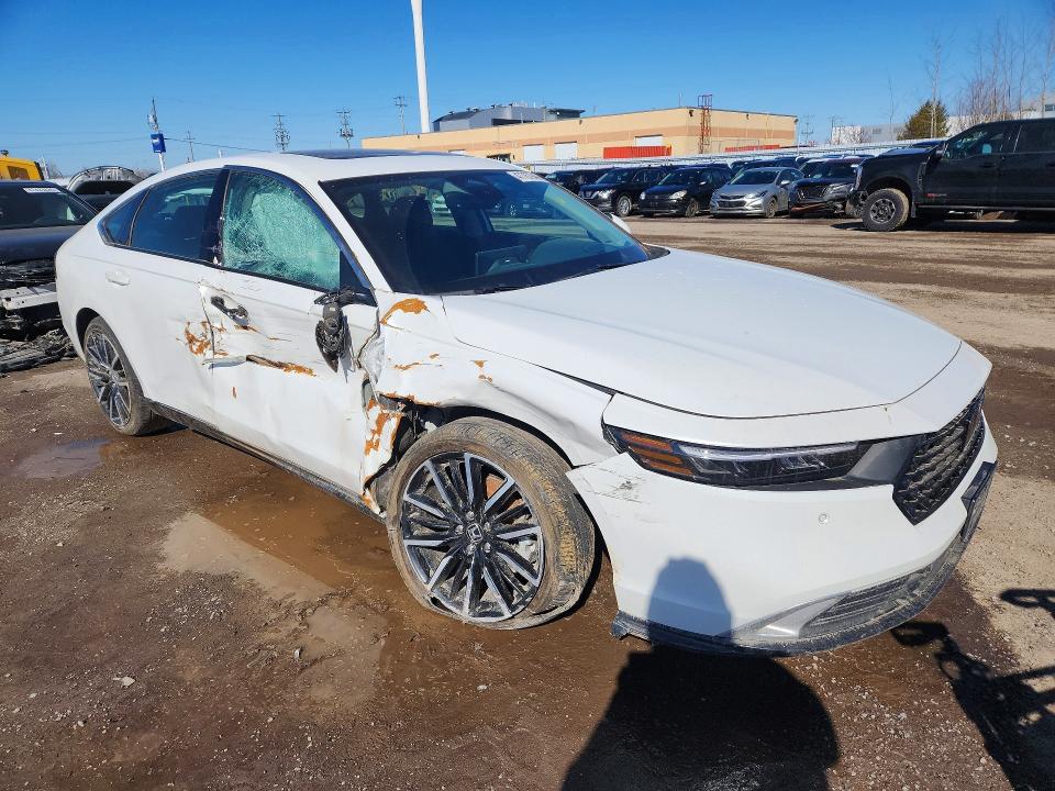 2024 Honda Accord VIN 1HGCY2F80RA801695 COPART salvage auction — SIDE, Salvage Title, sold $12,200 on 2026-07-28 (photo 4)