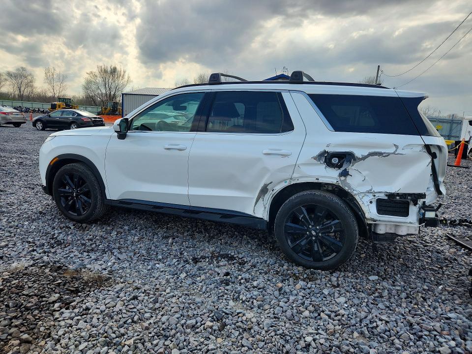 2025 Hyundai Palisade VIN KM8R3DGE6SU845448 COPART salvage auction — SIDE, Il - Salvage Certificate, sold $16,400 on 2026-07-20 (photo 2)