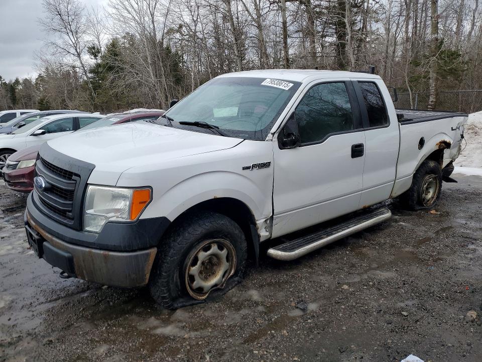 2013 Ford F-150 VIN 1FTEX1EM7DFB47065 COPART salvage auction — SIDE, On - Permit Salvage, sold $200 on 2026-07-02 (photo 1)