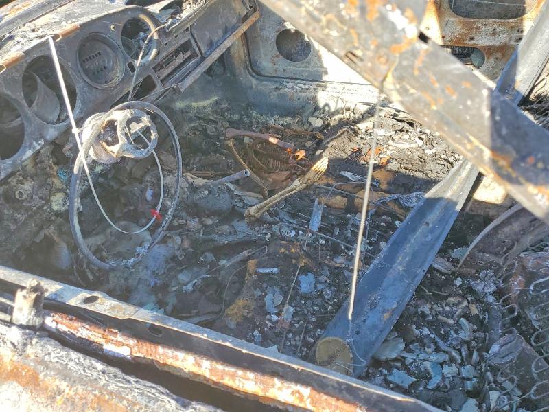 1983 Porsche 911cs VIN WP0ZZZ91ZDS151510 COPART salvage auction — BURN, FL - CERTIFICATE OF DESTRUCTION, sold $3,050 on 2026-07-15 (photo 7)