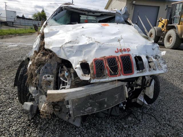 2019 Jeep Grand cherokee VIN 1C4PJMLX4KD482012 COPART salvage auction — ROLLOVER, Or - Lien Papers Salvage, sold $200 on 2026-09-01 (photo 5)
