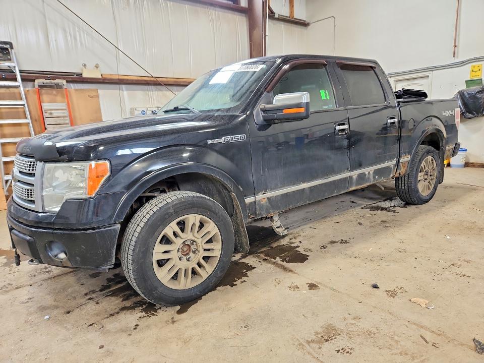 2010 Ford F-150 lightning VIN 1FTFW1EV0AFA20038 — COPART salvage auction photo