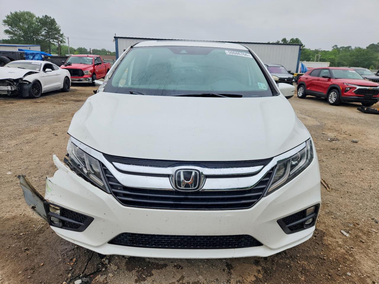 2020 Honda Odyssey VIN 5FNRL6H74LB015318 COPART salvage auction — Side, St - Salvage Title, sold $4,250 on 2026-09-03 (photo 5)