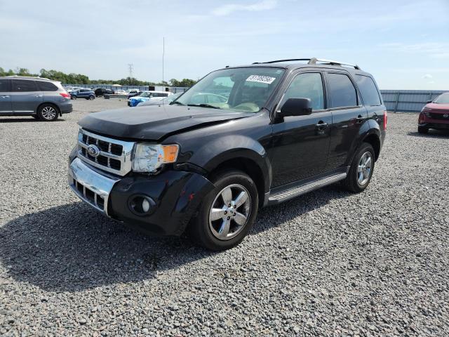 2011 Ford Escape VIN 1FMCU9EG4BKC61856 COPART salvage auction — FRONT END, FL - CERT OF TITLE SLVG REBUILDABLE, sold $1,050 on 2026-07-02 (photo 1)