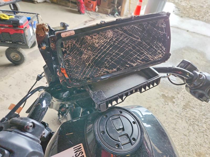 2026 Harley-davidson Flhlt VIN 1HD1MGN19TB852874 COPART salvage auction — FRONT END, NJ - CERTIFICATE OF TITLE (P), sold $9,900 on 2026-07-20 (photo 7)
