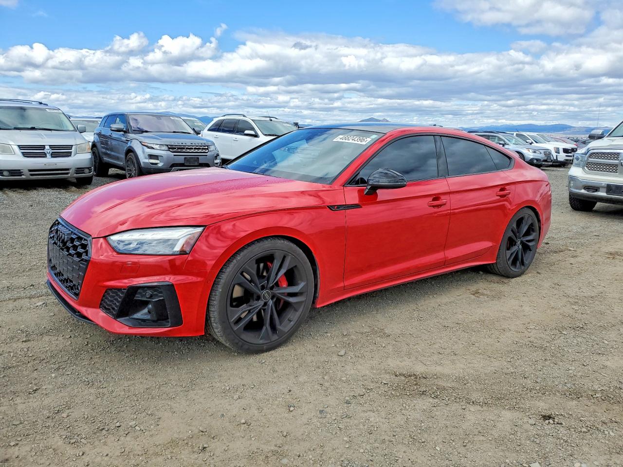 2024 Audi S5 VIN WAUB4CF51RA067308 — COPART salvage auction photo