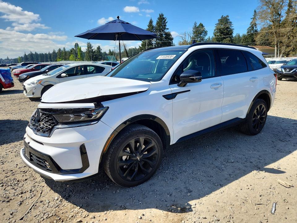 2023 Kia Sorento VIN 5XYRKDLF6PG233314 — COPART salvage auction photo