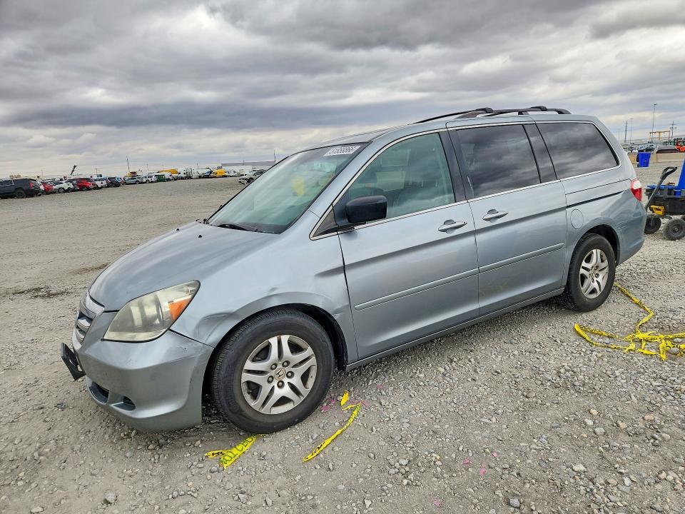 2007 Honda Odyssey VIN 5FNRL38717B058342 — COPART salvage auction photo