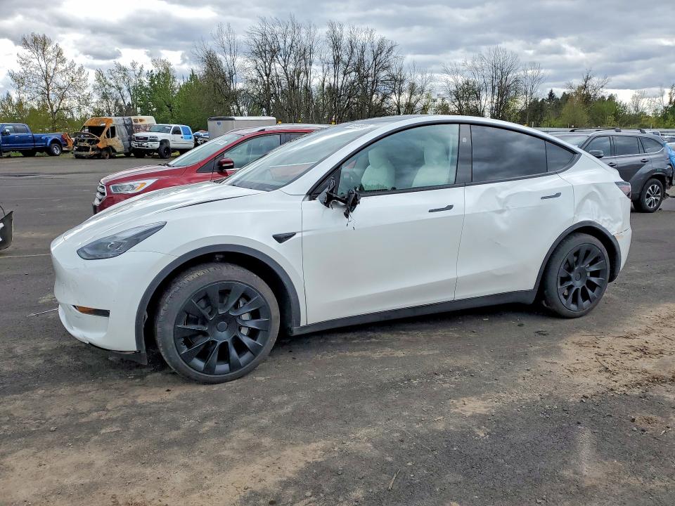 2025 Tesla Model y VIN 7SAYGDED0SF281595 — COPART salvage auction photo