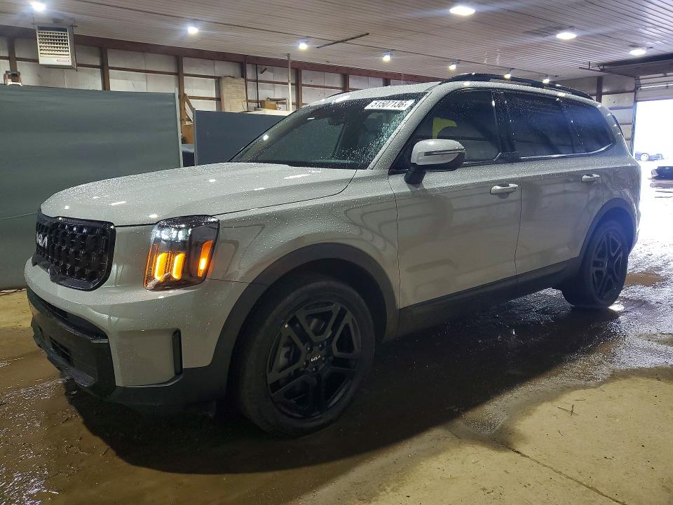 2024 Kia Telluride VIN 5XYP3DGC7RG550204 — COPART salvage auction photo