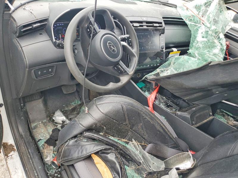 2024 Hyundai Santa cruz VIN 5NTJB4AE3RH088513 COPART salvage auction — SIDE, Fl - Certificate Of Destruction, sold $3,800 on 2026-07-15 (photo 8)