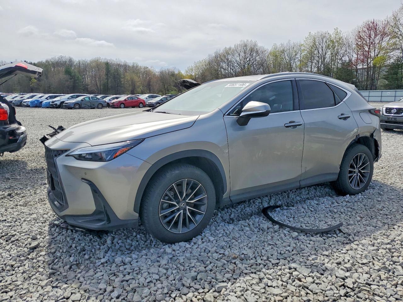 2024 Lexus NX 350 VIN 2T2GGCEZ2RC041179 — COPART salvage auction photo