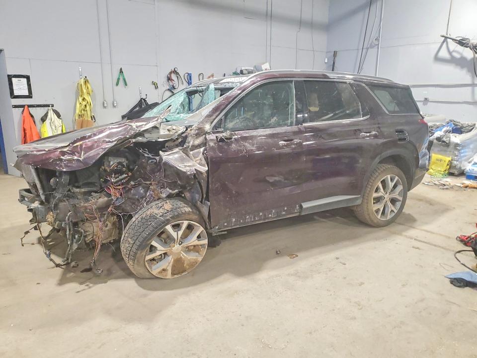 2020 Hyundai Palisade VIN KM8R3DHE5LU054263 COPART salvage auction — BIOHAZARD/CHEMICAL, Nb - Salvage Title, sold $1,400 on 2026-07-23 (photo 1)