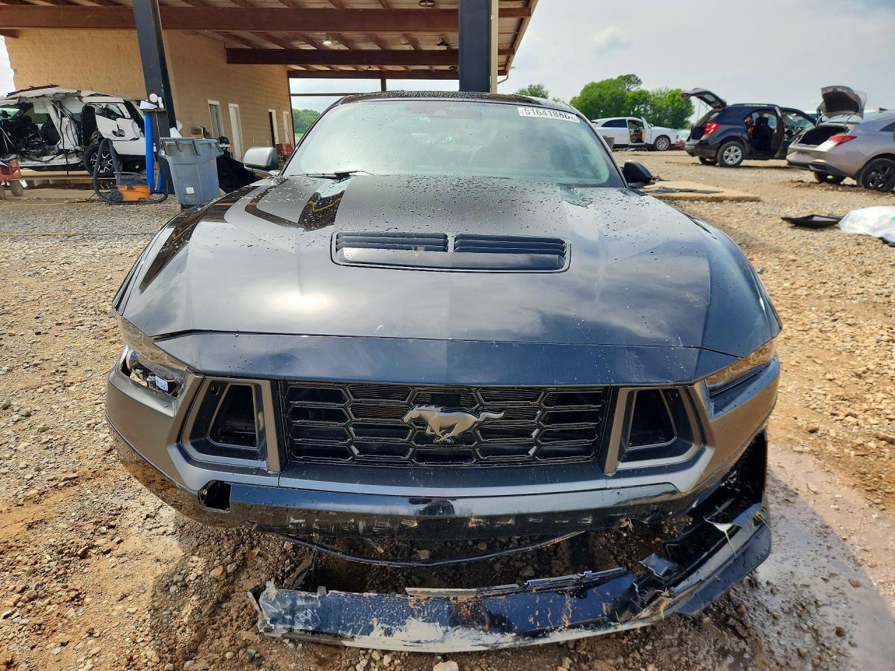 2025 Ford Mustang VIN 1FA6P8R02S5499726 COPART salvage auction — Side, AL - CERT OF TITLE-SALVAGE TITLE, sold $36,000 on 2026-07-01 (photo 5)